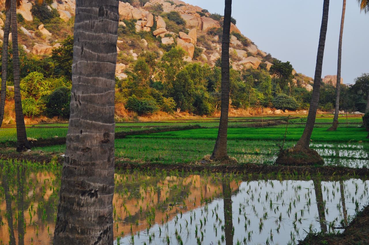 Uma Shankar Hampi Bagian luar foto
